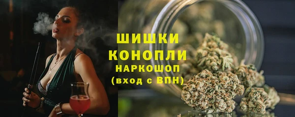 эйфоретик Горнозаводск