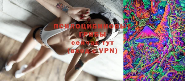 марки lsd Горняк