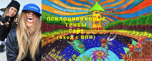 эйфоретик Горнозаводск