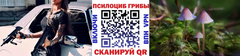 Купить  Ачинск  Псилоцибиновые грибы Magic Shrooms 